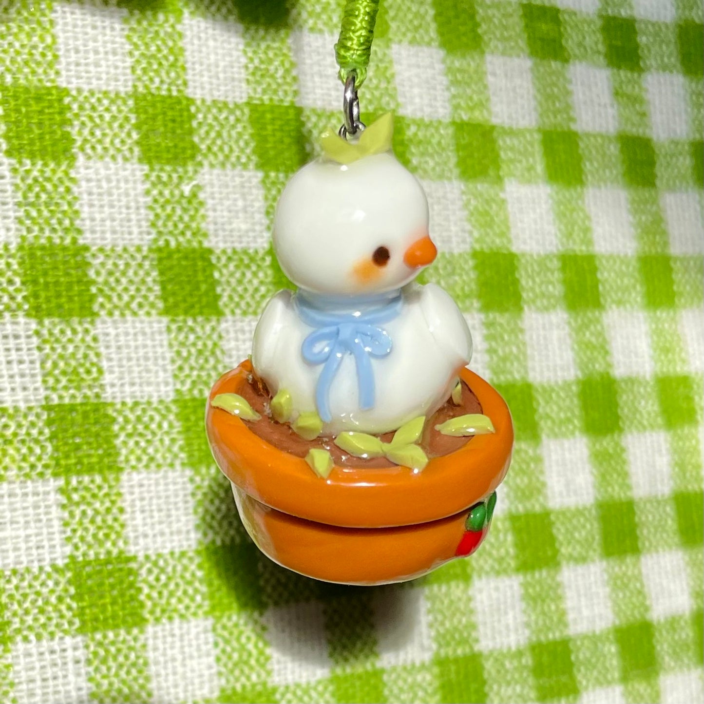 Duck Plant