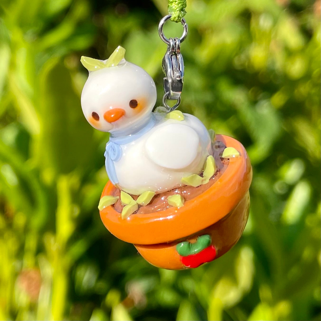 Duck Plant