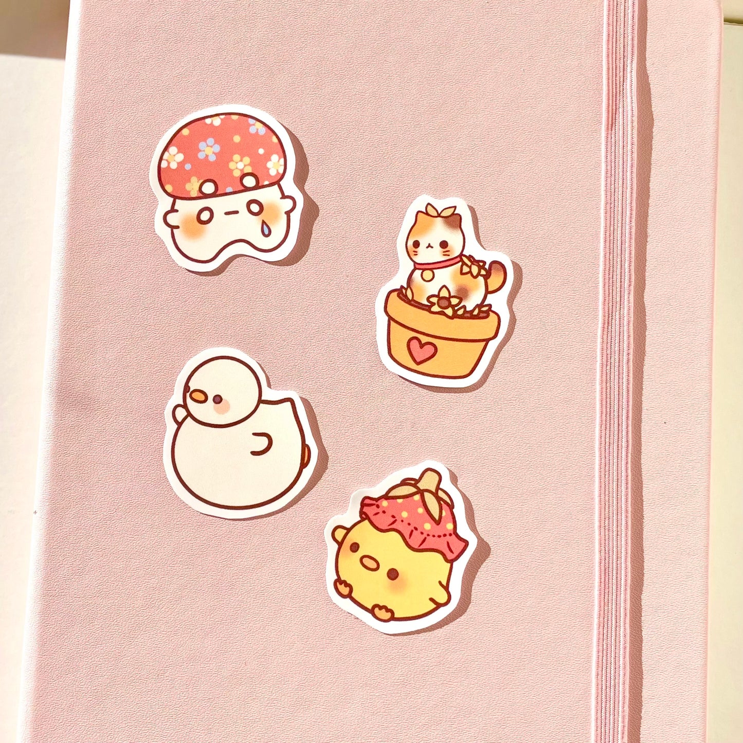 Chubby Duck