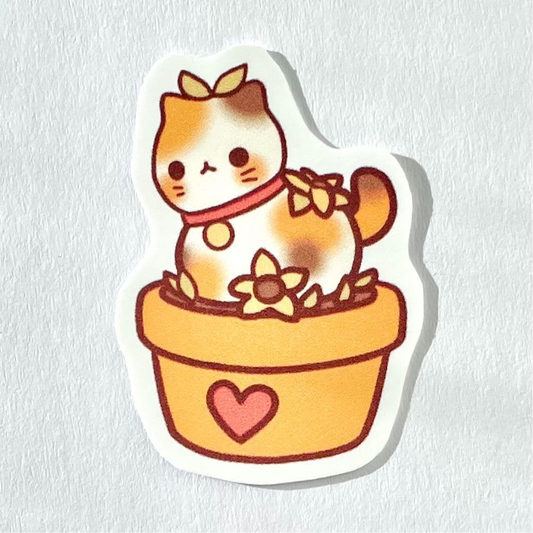 Calico Plant